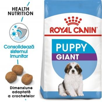 Royal Canin Giant Puppy, hrană uscată câini junior, etapa 1 de creștere, 1kg
