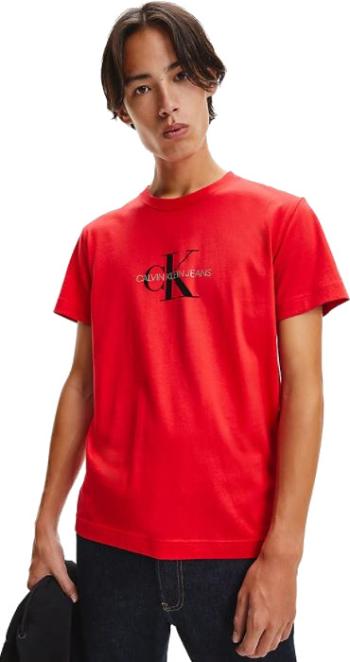 Calvin Klein Tricou bărbătesc Regular Fit J30J318691XCF S