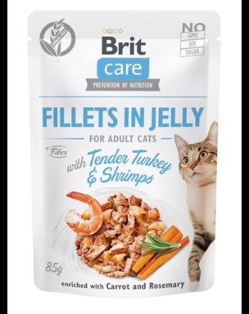 BRIT Care Cat Fillets in Jelly hrana umeda pentru pisici, cu curcan si creveti, 85 g