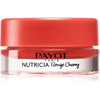 Payot Nutricia Rouge Cherry balsam pentru hidratare intensiva de buze culoare Rouge Cherry 6 g