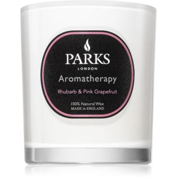 Parks London Aromatherapy Tobacco & Leather lumânare parfumată 220 g