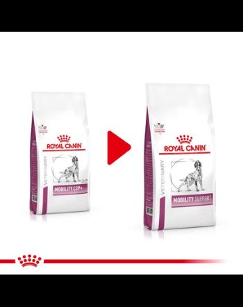 ROYAL CANIN VHN Dog Mobility Support 2 kg hrana dietetica pentru caini adulti cu afectiuni articulare