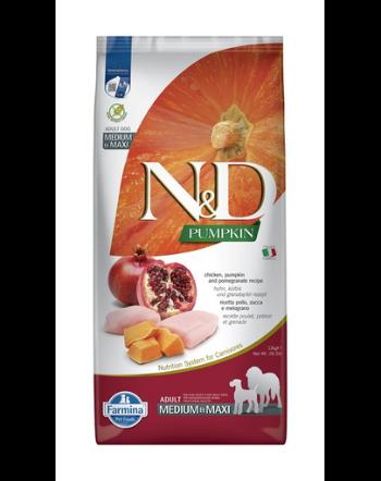 N&amp;D Pumpkin Chicken &amp; Pomegranate Adult Medium &amp; Maxi 12 kg hrana caini adulti talie medie/mare, pui si rodie