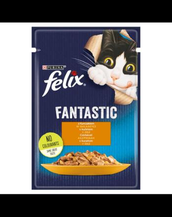FELIX FANTASTIC Hrana umeda cu pui pentru pisici adulte 85g