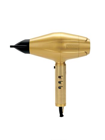 BaByliss PRO Uscător de păr profesional Gold FX