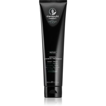 Paul Mitchell Awapuhi Wild Ginger masca pentru regenerare pentru păr uscat și deteriorat 150 ml