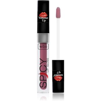 Wibo Lip Gloss Spicy luciu de buze pentru un volum suplimentar 1 3 ml