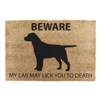 Covoraș de intrare din fibre de nucă de cocos 40x60 cm Labrador – Artsy Doormats