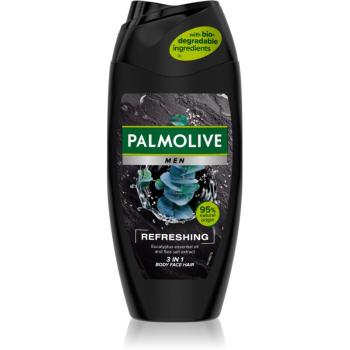 Palmolive Men Refreshing Gel de duș pentru bărbați 2 in 1 pentru bărbați 250 ml