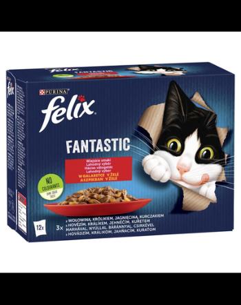 FELIX FANTASTIC Hrana umeda in jeleu pentru pisici adulte 72x85g