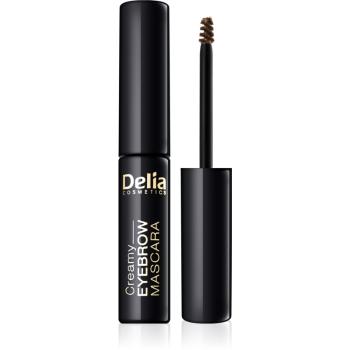 Delia Cosmetics Eyebrow Expert mascara pentru sprâncene culoare Brown 4 ml