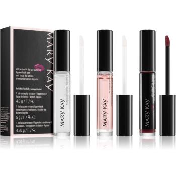 Mary Kay Ultra Stay Lip Lacquer Kit set cosmetice decorative de buze culoare Plum