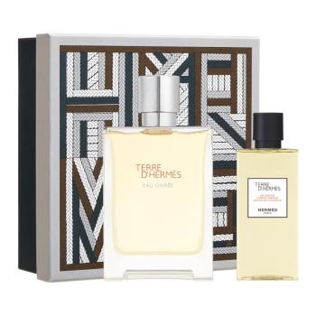 Hermes Terre d`Hermès Eau Givrée - EDP 100 ml + gel de duș 80 ml