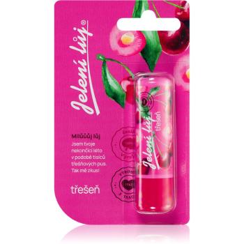 Regina Juicy Summer Cherry balsam de buze 4,5 g