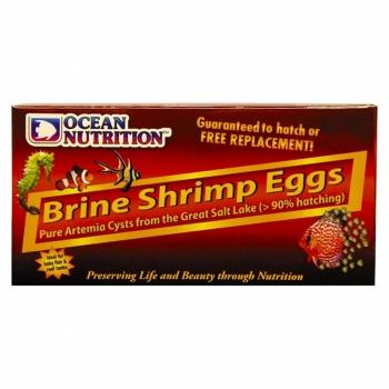 OCEAN NUTRITION Gsl Brine Shrimp Eggs, 20g