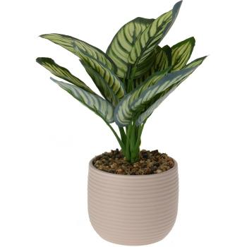 Floare artificială Calathea în ghiveci de ceramică, 12 x 26 cm, bej