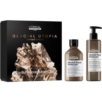 L’Oréal Professionnel Serie Expert Absolut Repair Molecular set cadou (pentru par deteriorat)