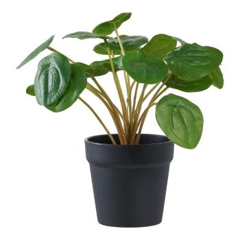 Plantă artificială (înălțime 28 cm) Pelia – House Nordic