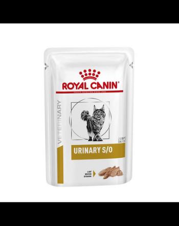 ROYAL CANIN Cat Urinary in loaf 24 x 85g hrană umedă pentru pisici adulte cu tulburări ale tractului urinar inferior