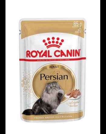 Royal Canin Persian Adult hrana umeda pisica, 12 x 85 g