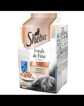 SHEBA selecție pește Fresh &amp; Fine 6x50g