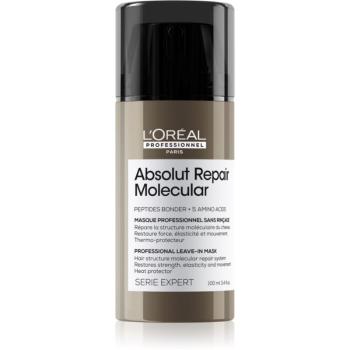 L’Oréal Professionnel Serie Expert Absolut Repair Molecular mască regeneratoare pentru părul deteriorat 100 ml