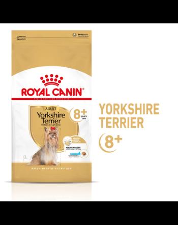 ROYAL CANIN Yorkshire Terrier 8+ Adult 1,5 kg karma sucha dla dojrzałych psów rasy yorkshire terrier, powyżej 8 roku życia + wiadro półksiężyc gratis