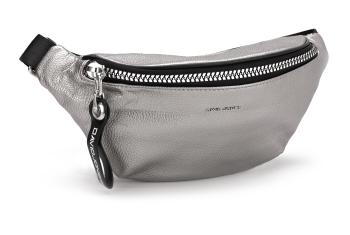 David Jones Borsetă pentru femei 6704-1 Silver