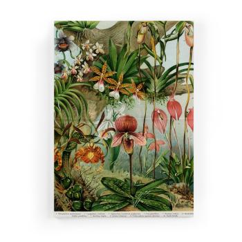 Tablou pe pânză Surdic Jungle Flowers, 50 x 70 cm