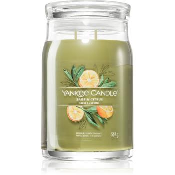 Yankee Candle Sage & Citrus lumânare parfumată Signature 567 g