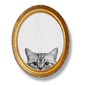 Tablou oval de perete Really Nice Things Cat, 40 x 50 cm