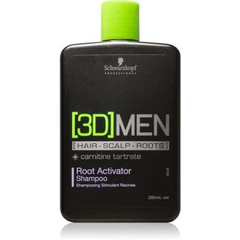 Schwarzkopf Professional [3D] MEN șampon pentru stimularea radacinilor 250 ml