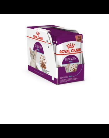 ROYAL CANIN Sensory Feel Gravy hrana umeda pentru pisici, in sos 48x85 g