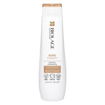 Biolage Șampon pentru păr extred de deteriorat Bond Therapy (Shampoo) 250 ml