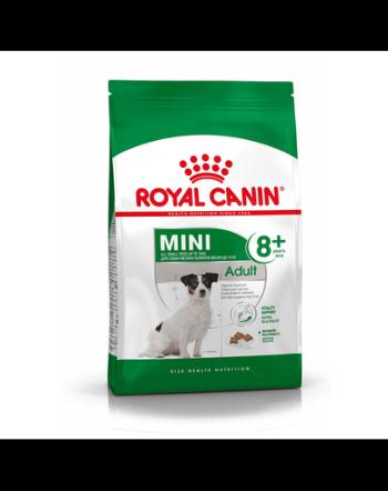 ROYAL CANIN Mini adult 8+ Hrana uscata pentru caini adulti de talie mica peste 8 ani (10 x 0,8 kg)