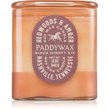 Paddywax Vista Redwoods & Amber lumânare parfumată 340 g