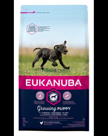 EUKANUBA Growing Puppy Large Breed Hrana uscata pentru catei de talie mare, bogat in pui proaspat 2kg