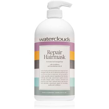 Waterclouds Repair Hairmask masca de par cu efect de regenerare si hidratare 1000 ml