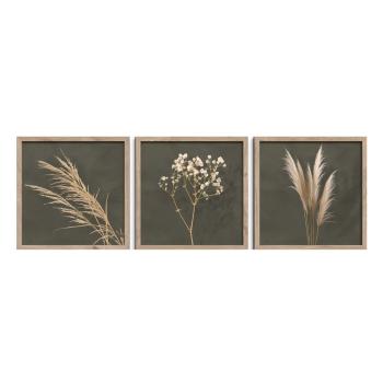 Tablouri 3 buc. 30x30 cm Pampas – Styler