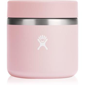 Hydro Flask Insulated Food Jar termos pentru mâncare culoare Pink 591 ml