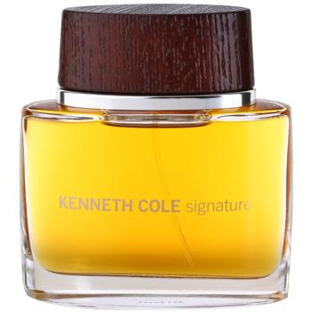 Kenneth Cole Signature Eau de Toilette pentru bărbați 100 ml