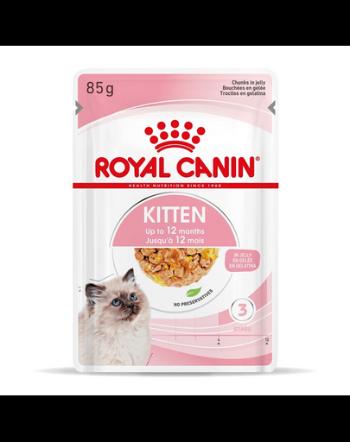 ROYAL CANIN Cat instinctive kitten 24 x 85 g