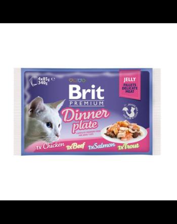 BRIT Premium Fillet dinner plate mix Set hrana umeda pentru pisici adulte, mix de carnuri 52 x 85 g