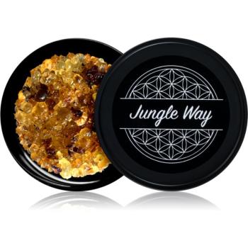 Jungle Way Citrus Frankincense Oud Bakhoor suporturi pentru ars tămâie 20 g