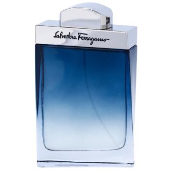 Salvatore Ferragamo Subtil Pour Homme Eau de Toilette pentru bărbați 100 ml