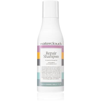 Waterclouds Repair sampon pentru regenerare 70 ml