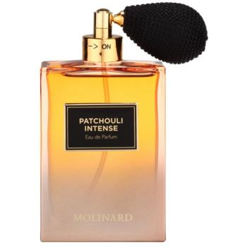 Molinard Patchouli Intense Eau de Parfum pentru femei 75 ml