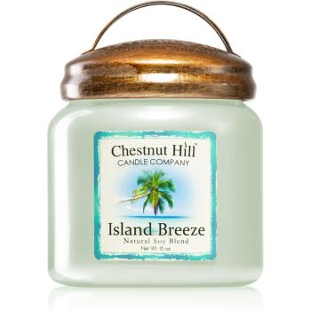 Chestnut Hill Island Breeze lumânare parfumată 454 g