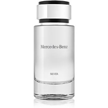 Mercedes-Benz For Men Silver Eau de Toilette pentru bărbați 120 ml