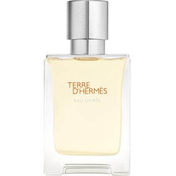 HERMÈS Terre d’Hermès Eau Givrée Eau de Parfum pentru bărbați 50 ml